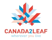 Canada 2 Leaf